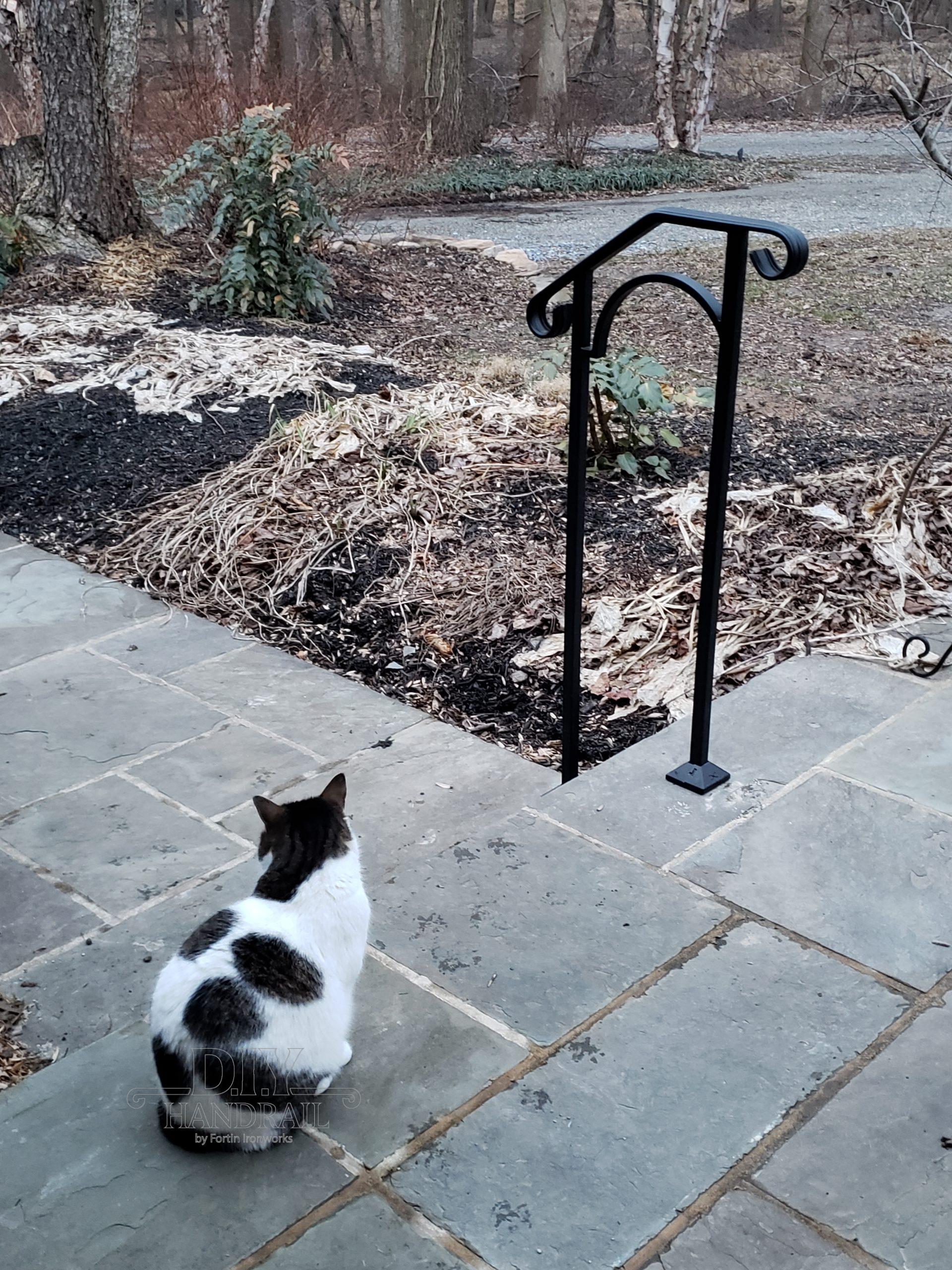 Wrought Iron Stand Alone Arch Style Handrails | DIY Handrail